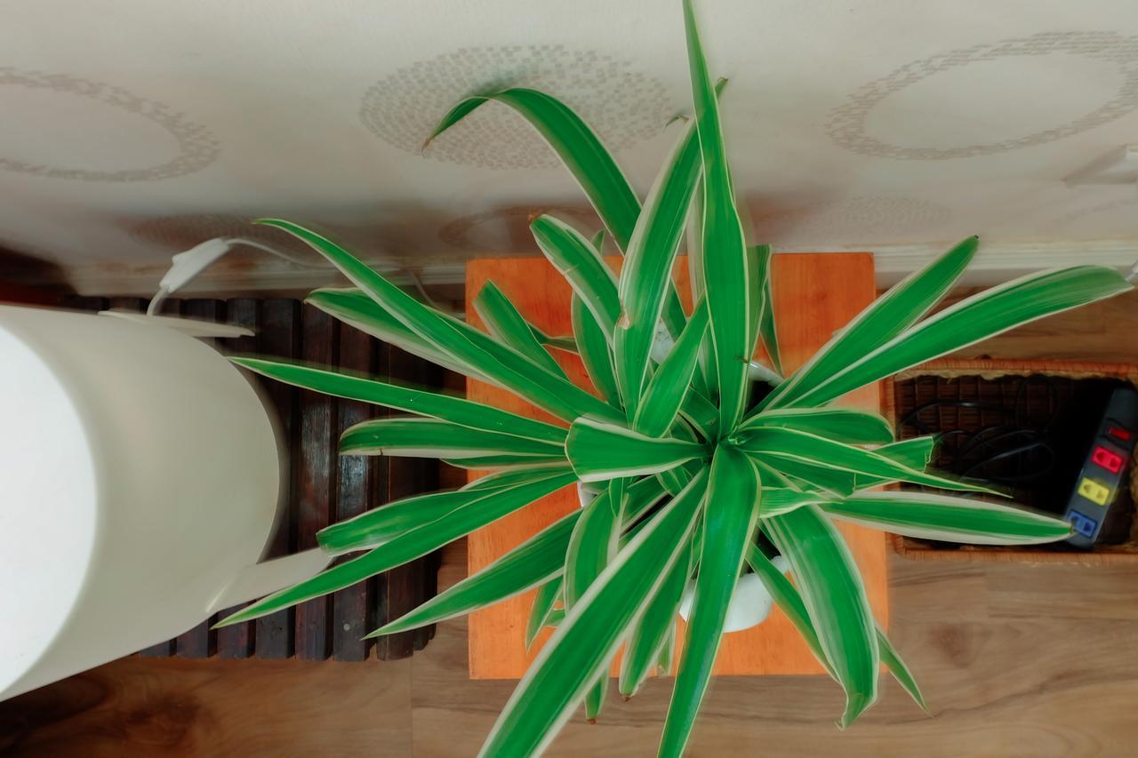 Magari Homestay Ciudad Ho Chi Minh  Exterior foto