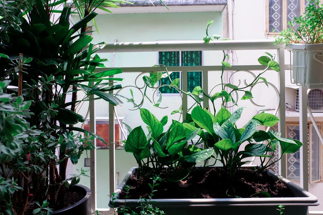 Magari Homestay Ciudad Ho Chi Minh  Exterior foto